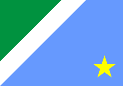 Bandeira Mato Grosso do Sul