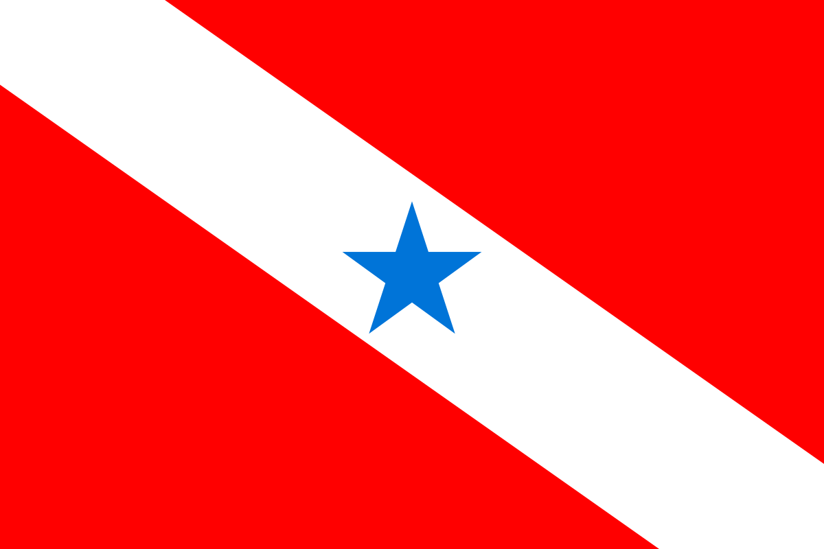 Bandeira Pará